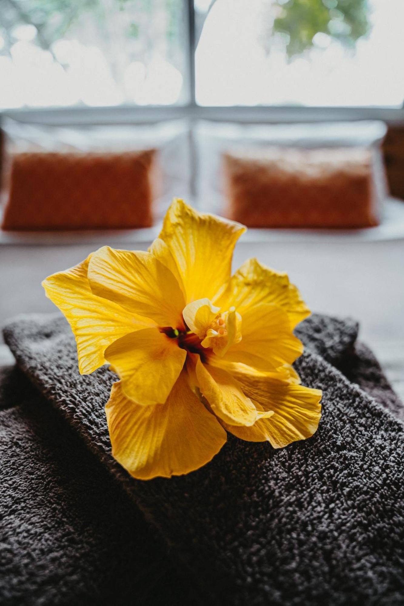 Tatahi Cove Back Packer Hostel Hahei Ngoại thất bức ảnh
