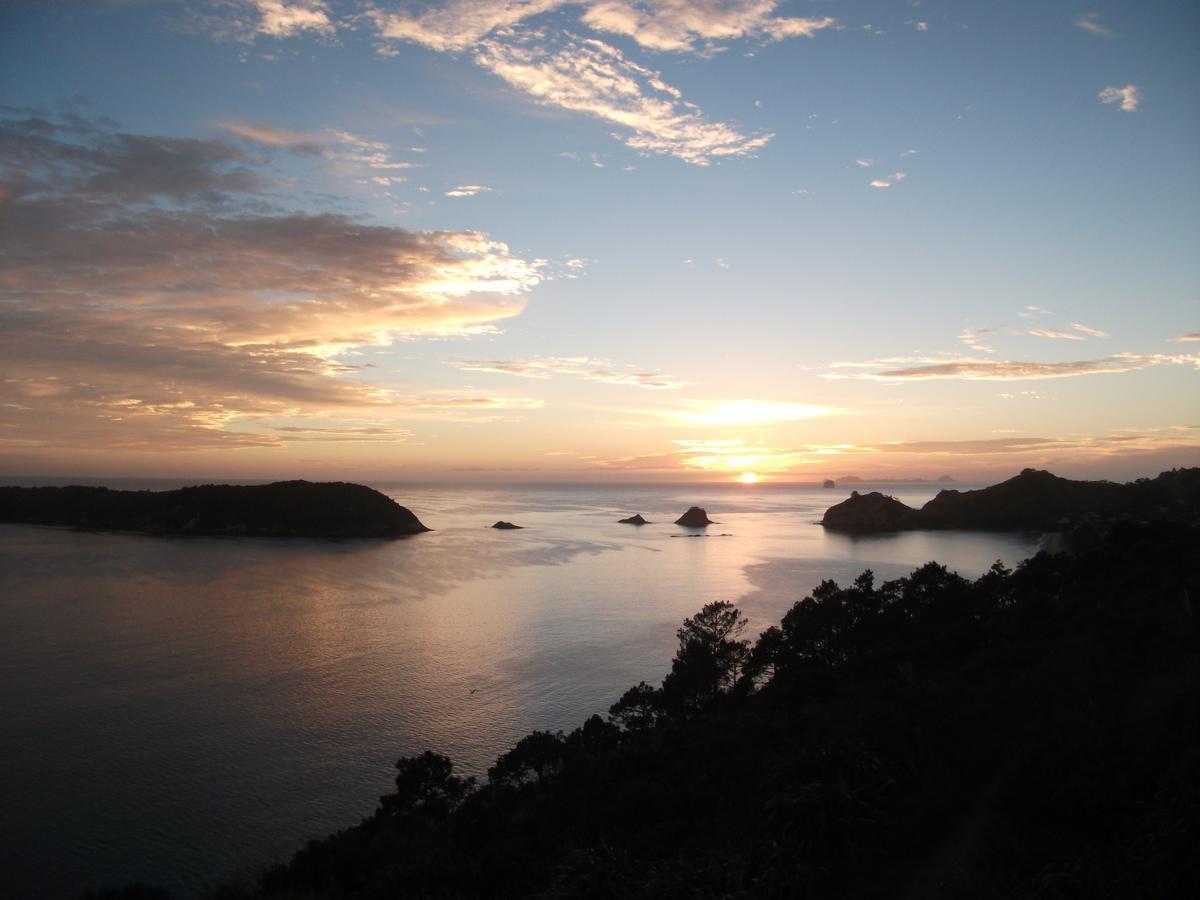 Tatahi Cove Back Packer Hostel Hahei Ngoại thất bức ảnh
